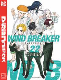 ＷＩＮＤ　ＢＲＥＡＫＥＲ（２２）