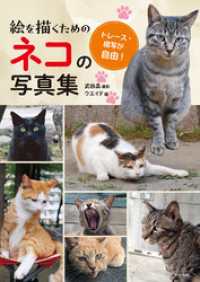 絵を描くためのネコの写真集
