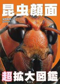 昆虫顔面 超拡大図鑑