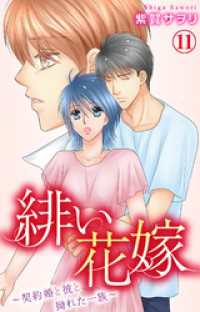 緋い花嫁～契約婚と彼と拗れた一族～ 11 素敵なロマンス