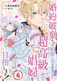 素敵なロマンス<br> 婚約破棄されて娼館に売られる（予定）なので、超高級娼婦を目指します！6