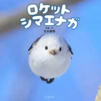 ロケットシマエナガ