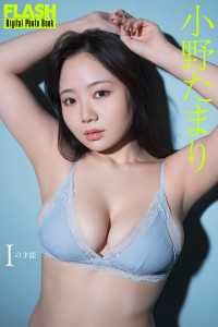 FLASHデジタル写真集　小野たまり　Iの才能 FLASHデジタル写真集
