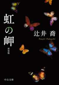 虹の岬　新装版 中公文庫