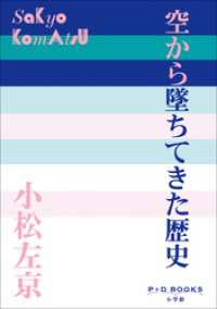 P+D BOOKS　空から墜ちてきた歴史 P+D BOOKS