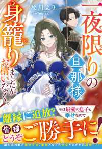 ベリーズファンタジー<br> 一夜限りの旦那様、身籠りましたがお構いなく。【電子限定SS付き】