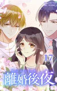 HykeComic<br> 離婚後夜【分冊版】第17巻