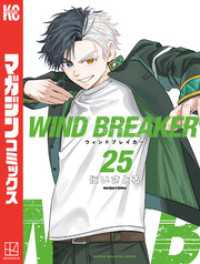 ＷＩＮＤ　ＢＲＥＡＫＥＲ（２５）