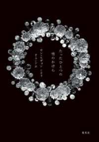 たったひとつの雪のかけら 集英社文芸単行本