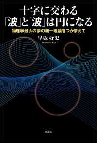 十字に交わる「波」と「波」は円になる 物理学最大の夢の統一理論をつかまえて