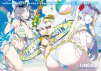 シノビマスター 閃乱カグラ NEW LINK　ILLUSTRATIONS BOOK【UNDER】 ホビージャパンMOOK