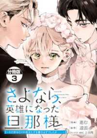 さよなら、英雄になった旦那様　～ただ祈るだけの役立たずな妻のはずでしたが……～ - 分冊版（３）