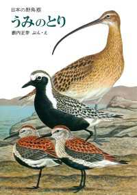 うみのとり - 日本の野鳥６