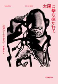 太陽に撃ち抜かれて