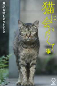 猫に会いたくて 贅沢な癒しのひととき 猫パンチ