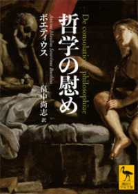 哲学の慰め 講談社学術文庫