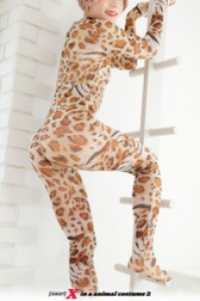 [381P] X in a animal costume 2 ひばりこれくしょん