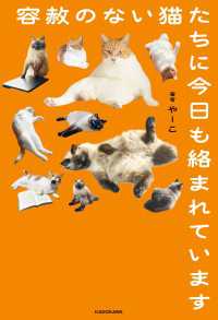 容赦のない猫たちに今日も絡まれています