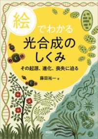 絵でわかる光合成のしくみ　その起源、進化、喪失に迫る ＫＳ絵でわかるシリーズ