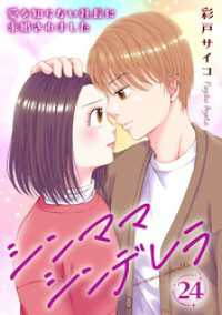 素敵なロマンス<br> シンママシンデレラ 愛を知らない社長に求婚されました24