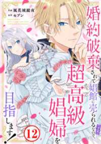 婚約破棄されて娼館に売られる（予定）なので、超高級娼婦を目指します！12 素敵なロマンス