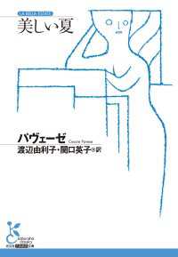 美しい夏 光文社古典新訳文庫