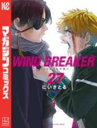 ＷＩＮＤ　ＢＲＥＡＫＥＲ（２７）