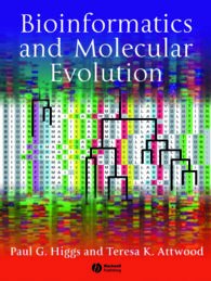 生物情報学と分子進化<br>Bioinformatics and Molecular Evolution