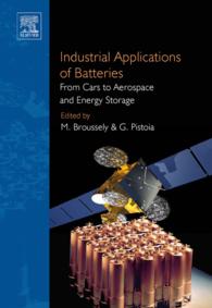 Industrial Applications of Batteries : From Cars to Aerospace and Energy Storage