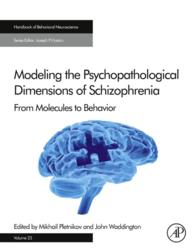 統合失調症の精神病理学的次元のモデリング<br>Modeling the Psychopathological Dimensions of Schizophrenia : From Molecules to Behavior
