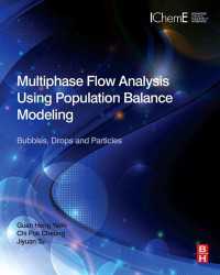 Multiphase Flow Analysis Using Population Balance Modeling : Bubbles, Drops and Particles