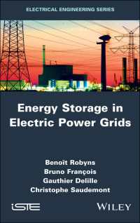 Energy Storage in Electric Power Grids