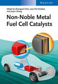 非貴金属燃料電池触媒<br>Non-Noble Metal Fuel Cell Catalysts
