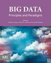 ビッグデータ：原理とパラダイム<br>Big Data : Principles and Paradigms