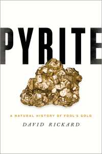 硫化鉱の自然史<br>Pyrite : A Natural History of Fool's Gold