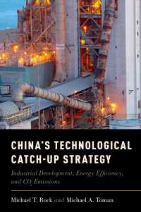 中国の技術戦略、産業発展とエネルギー問題<br>China's Technological Catch-Up Strategy : Industrial Development, Energy Efficiency, and CO2 Emissions