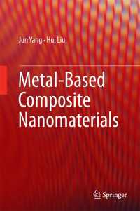 金属系合成ナノ材料<br>Metal-Based Composite Nanomaterials〈2015〉
