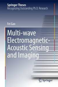Multi-wave Electromagnetic-Acoustic Sensing and Imaging〈1st ed. 2017〉