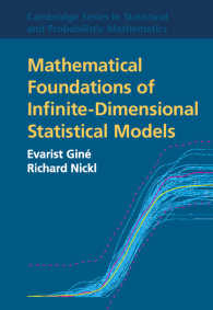 無限次元統計モデルの数理的基盤<br>Mathematical Foundations of Infinite-Dimensional Statistical Models