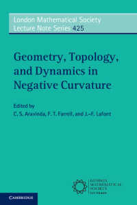 負曲率の幾何学・トポロジー・力学<br>Geometry, Topology, and Dynamics in Negative Curvature