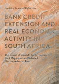Bank Credit Extension and Real Economic Activity in South Africa〈1st ed. 2017〉 : The Impact of Capital Flow Dynamics, Bank Regulation and Selected Macro-prudential Tools