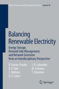Balancing Renewable Electricity : Energy Storage, Demand Side Management, and Network Extension from an Interdisciplinary Perspective