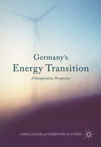Germany's Energy Transition〈1st ed. 2015〉 : A Comparative Perspective