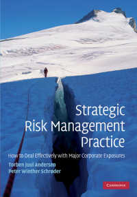 戦略的リスク管理の実践<br>Strategic Risk Management Practice : How to Deal Effectively with Major Corporate Exposures