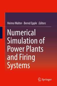 Numerical Simulation of Power Plants and Firing Systems〈1st ed. 2017〉