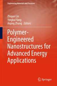 Polymer-Engineered Nanostructures for Advanced Energy Applications〈1st ed. 2017〉
