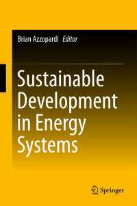 Sustainable Development in Energy Systems〈1st ed. 2017〉