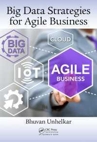 Big Data Strategies for Agile Business