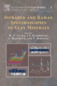 Infrared and Raman Spectroscopies of Clay Minerals