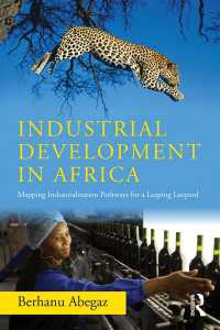 アフリカの産業発展<br>Industrial Development in Africa : Mapping Industrialization Pathways for a Leaping Leopard